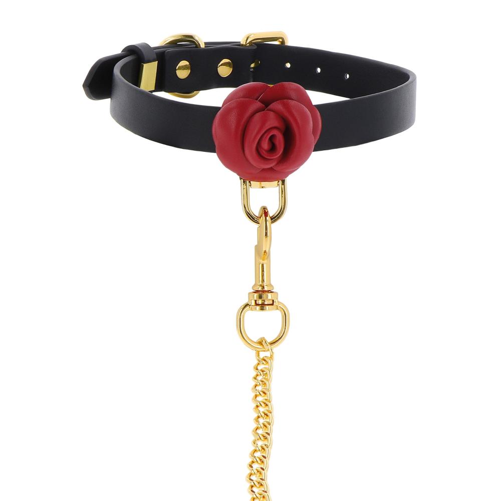 Collare e guinzaglio Wild Roses neri