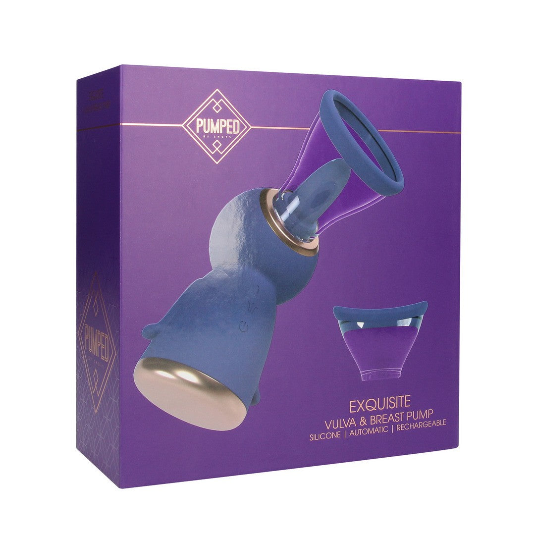 POMPA PER LA VULVA E IL SENO EXQUISITE VIOLA PUMPED